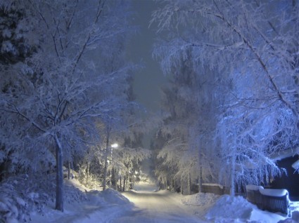 winter_snow_frost_235710