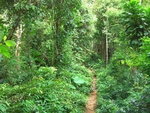 20131126-182635.jpg