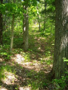 Glen