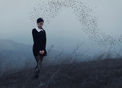 Photo by Alex Stoddard