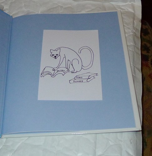 Several people asked for cats and books. This one's the most recent.