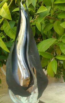 Strips of archival paper, resistant to deterioration, even in the Phoenix sun.