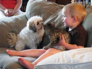 Colin and baby kitty and Sadie