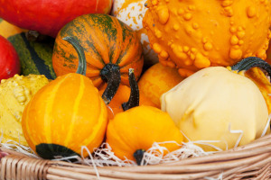 thanksgiving-food