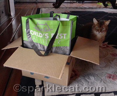 If the bag won't fit, you must acquit... oh, wait, this isn't a trial