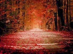 fall 2