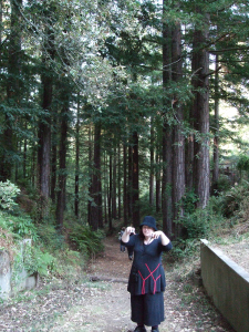 Angel lurking in the woods. Photo by Rena Mason.