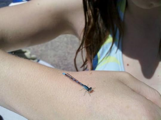 Danselfly