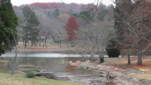 SAMSUNG DIGITAL CAMERA