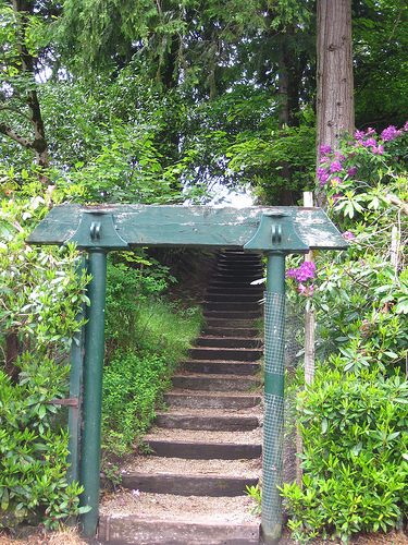 steps