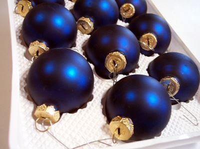 scBulbs