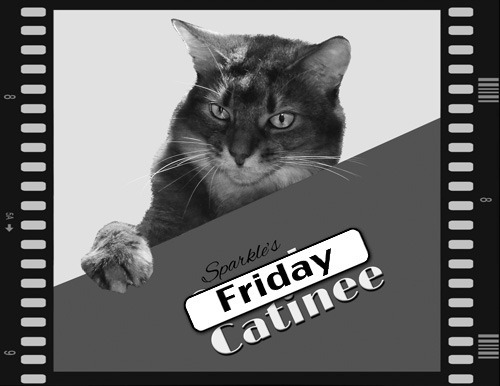 Friday Catinee!