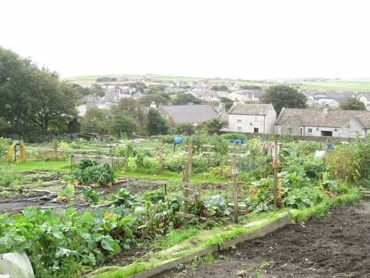 07-allotment_4103