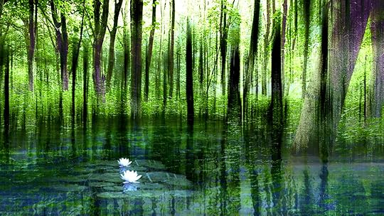 Mindfulness - Harry Koopman Flickr