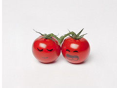 Shy tomatoes