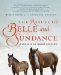 The Rescue Of Belle And Sundance by Birgit S Stutz