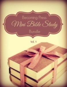 mini_bible_study_bundle_250