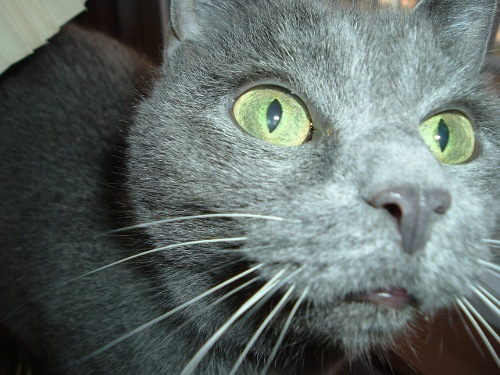 KatyaSelfie