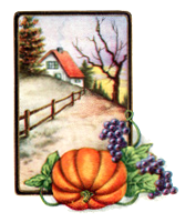 Click to visit the original post