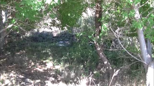 What Was Once Big Springs