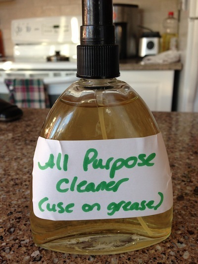 All Purpose Cleaner from The book From Garbage to Gourmet