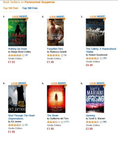 #1 in UK Paranormal Suspense