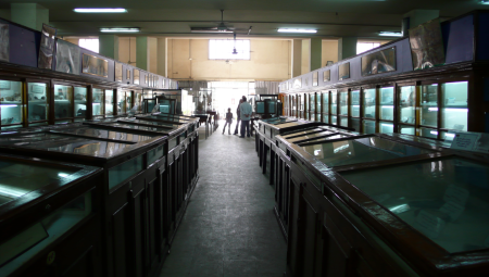 Screen Shot 2013-11-28 at 3.54.31 PM