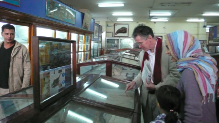 Screen Shot 2013-11-28 at 3.52.42 PM