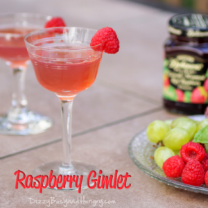 raspberry-gimlet-title