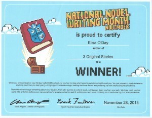 2013-Winner-Certificate Signed