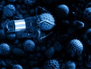 Nano probe harrasses spiky pollen ball