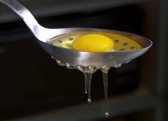 eggspoon1