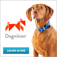 Dognition.com - How well do you know your pet?