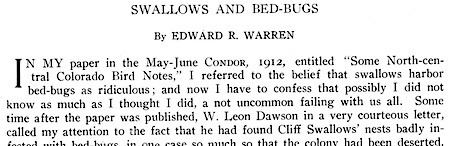 swallows-and-bed-bugs