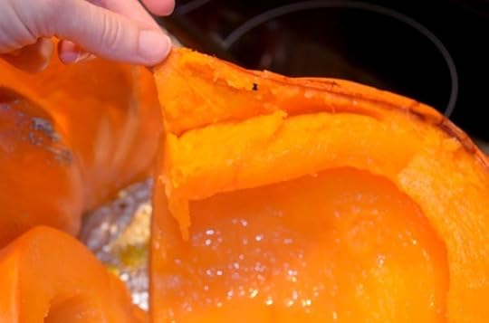 pumpkin-skin