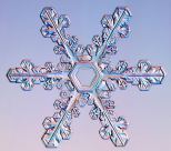 snowflake1