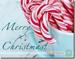 Candy canes in a light blue cup