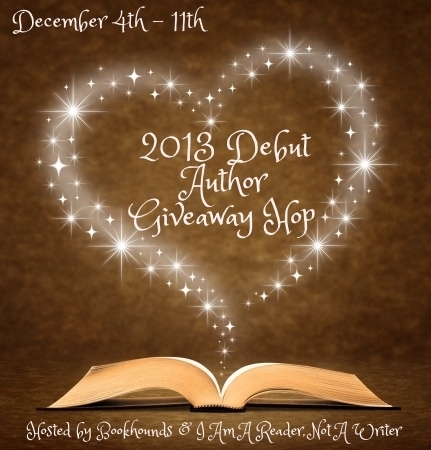 2013 Debut author hop