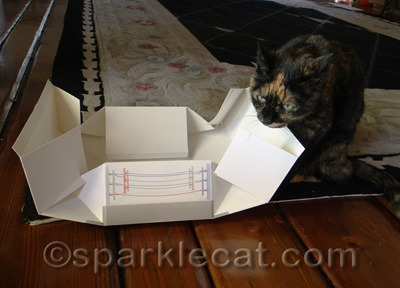 Having Binga's help did NOT make the process any quicker
