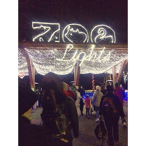 The #zoolights were an awesome way to kick off the holiday season. Let the festivities begin! #herewego
