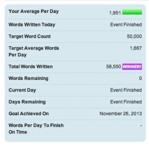 NaNoWriMo Final Update