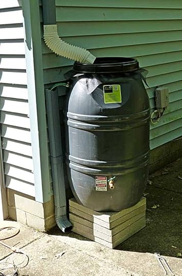 RainBarrel
