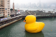 “Florentijn Hofman: Rubber Duck: Hong Kong 201...
