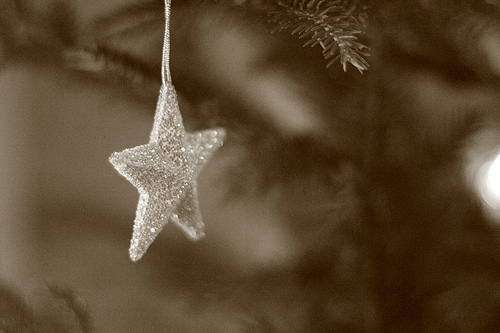 Christmas star