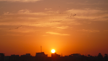 Screen Shot 2013-12-04 at 7.23.18 AM