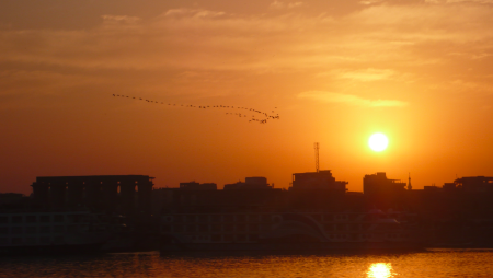 Screen Shot 2013-12-04 at 7.25.24 AM