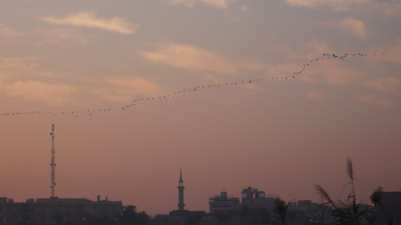 Screen Shot 2013-12-04 at 7.24.10 AM