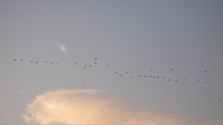 Screen Shot 2013-12-04 at 7.17.42 AM