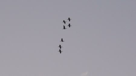 Screen Shot 2013-12-04 at 7.21.09 AM