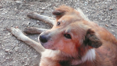 Screen Shot 2013-12-04 at 7.21.44 AM